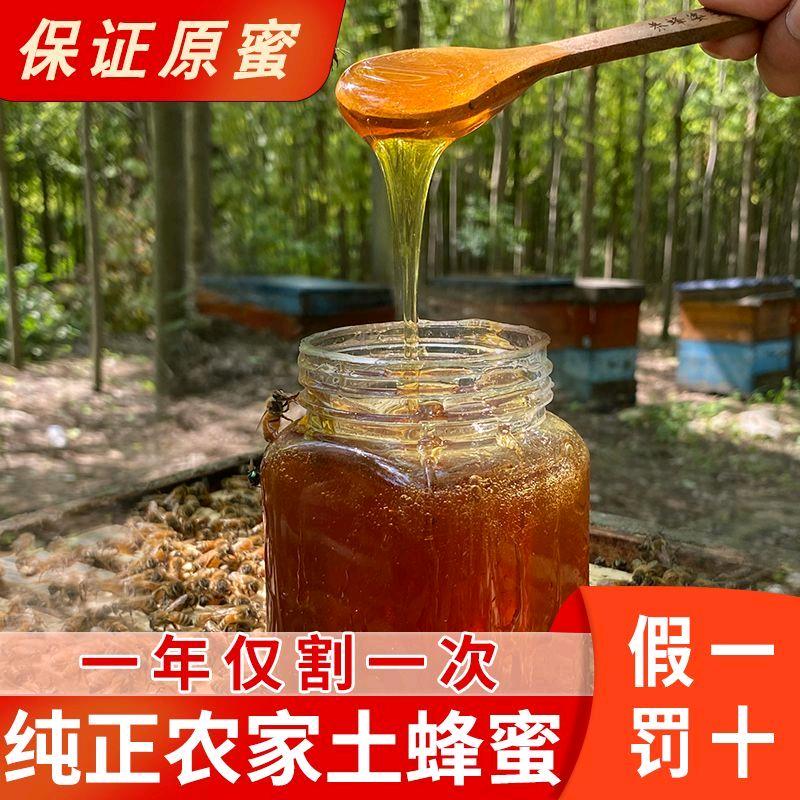 小浩家的果园农场
