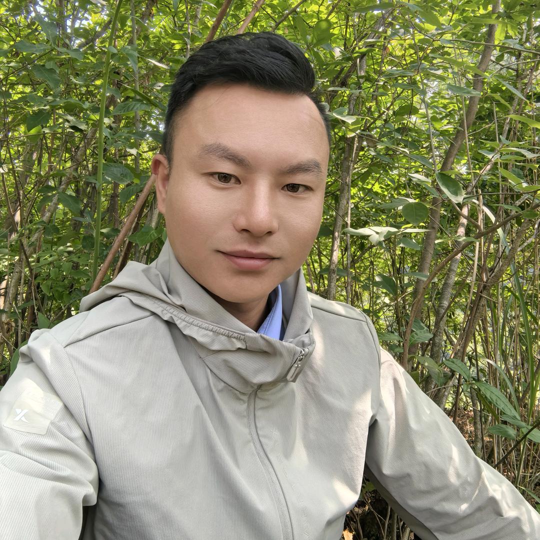黄金河滴小熊