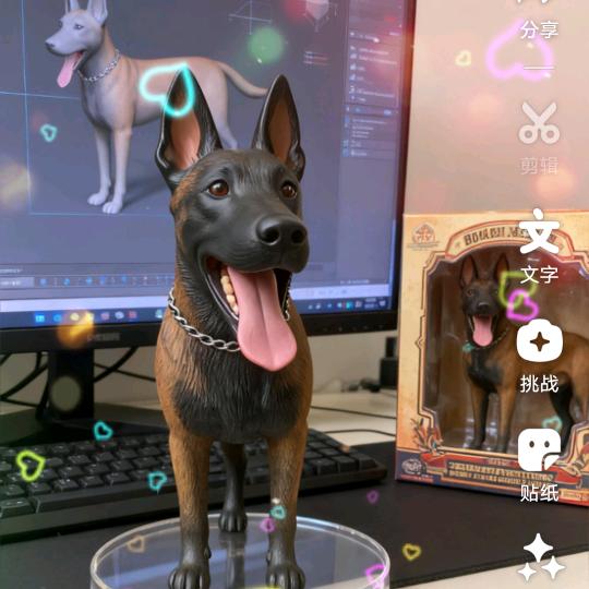 伟业犬舍╭☞广西田园犬🍚