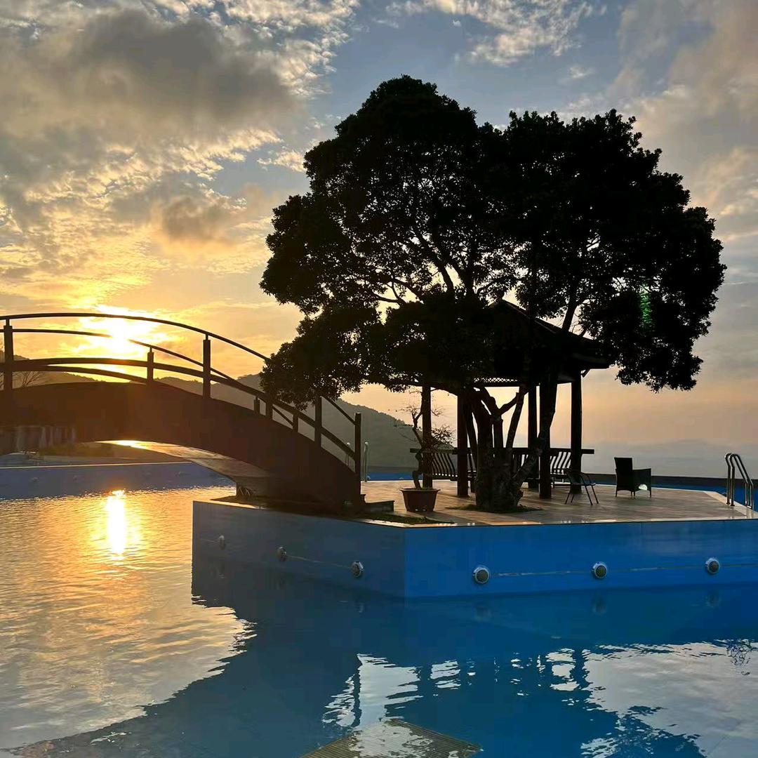 Lin  {你瞅啥}