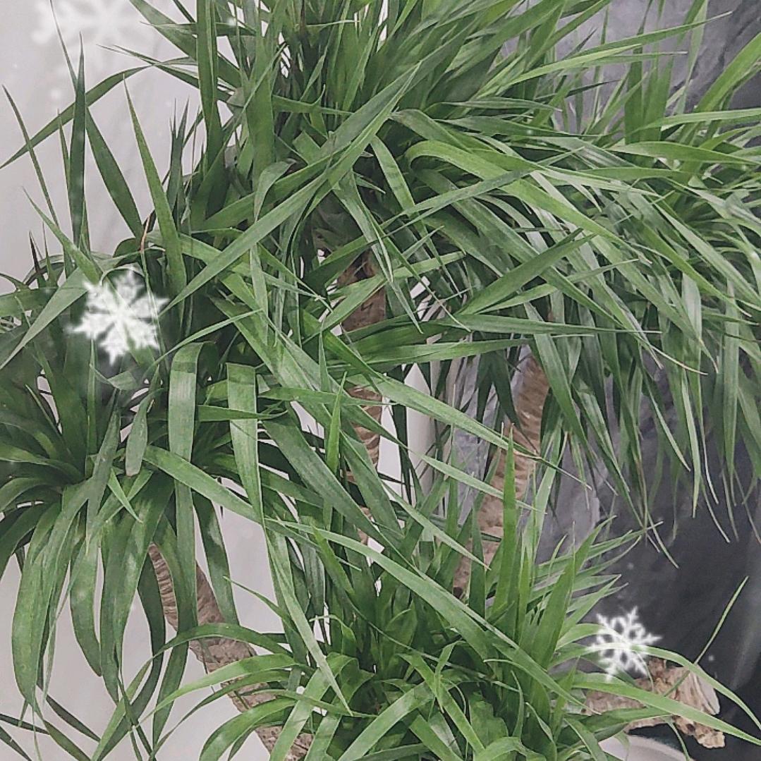 小勇说事(智尚客甄选)