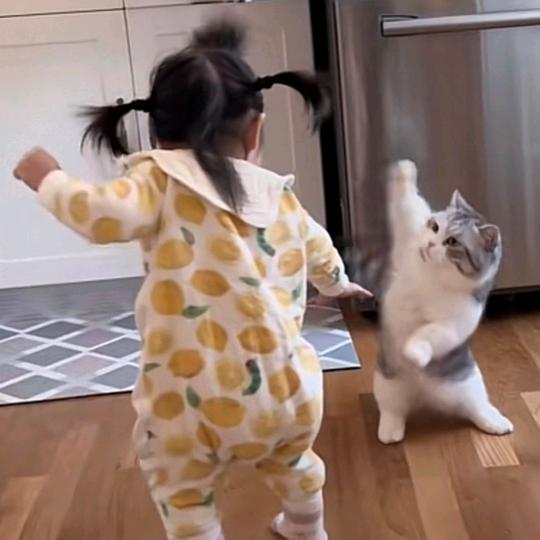 一闪一闪小星星