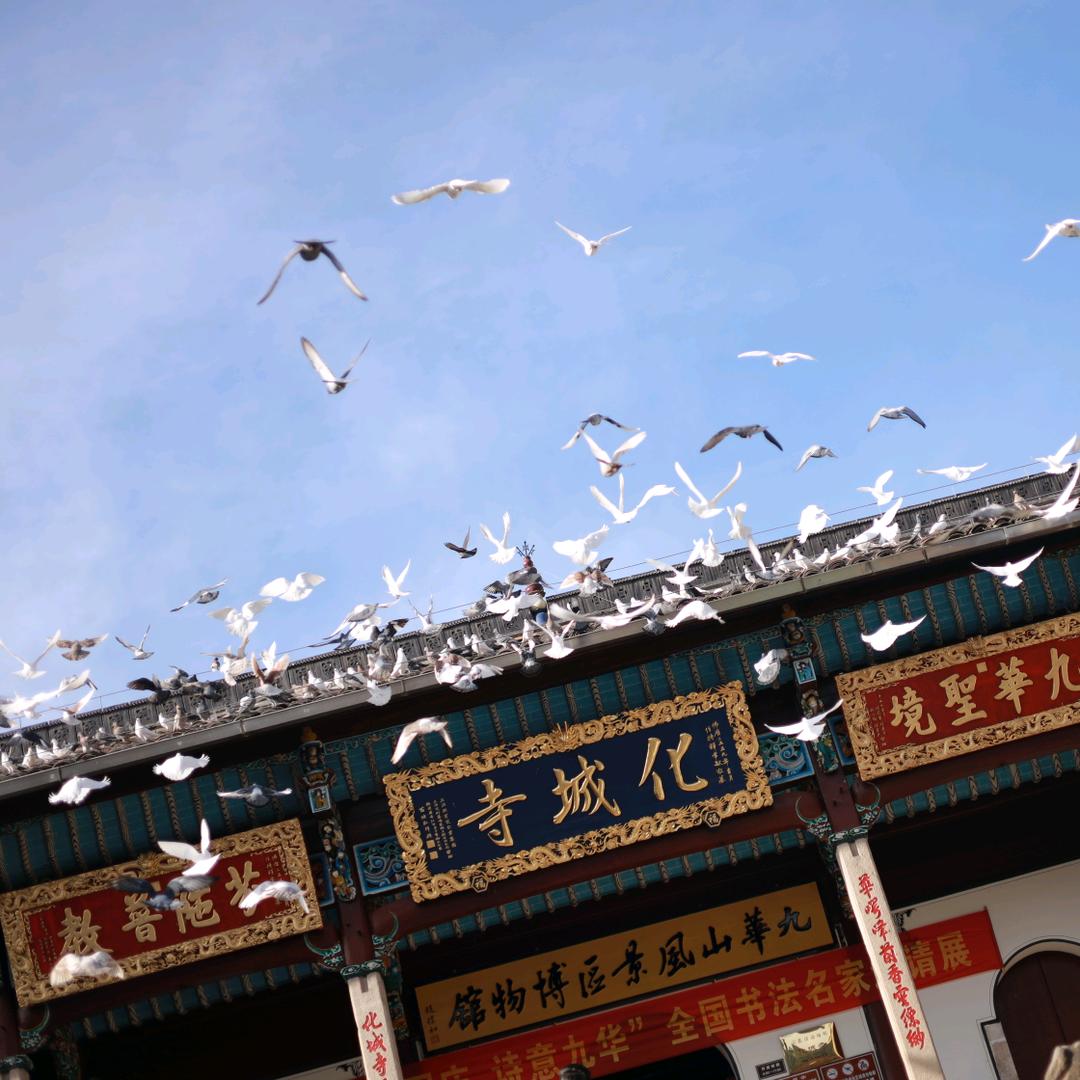 九华山晴天旅拍