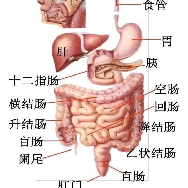 益生君