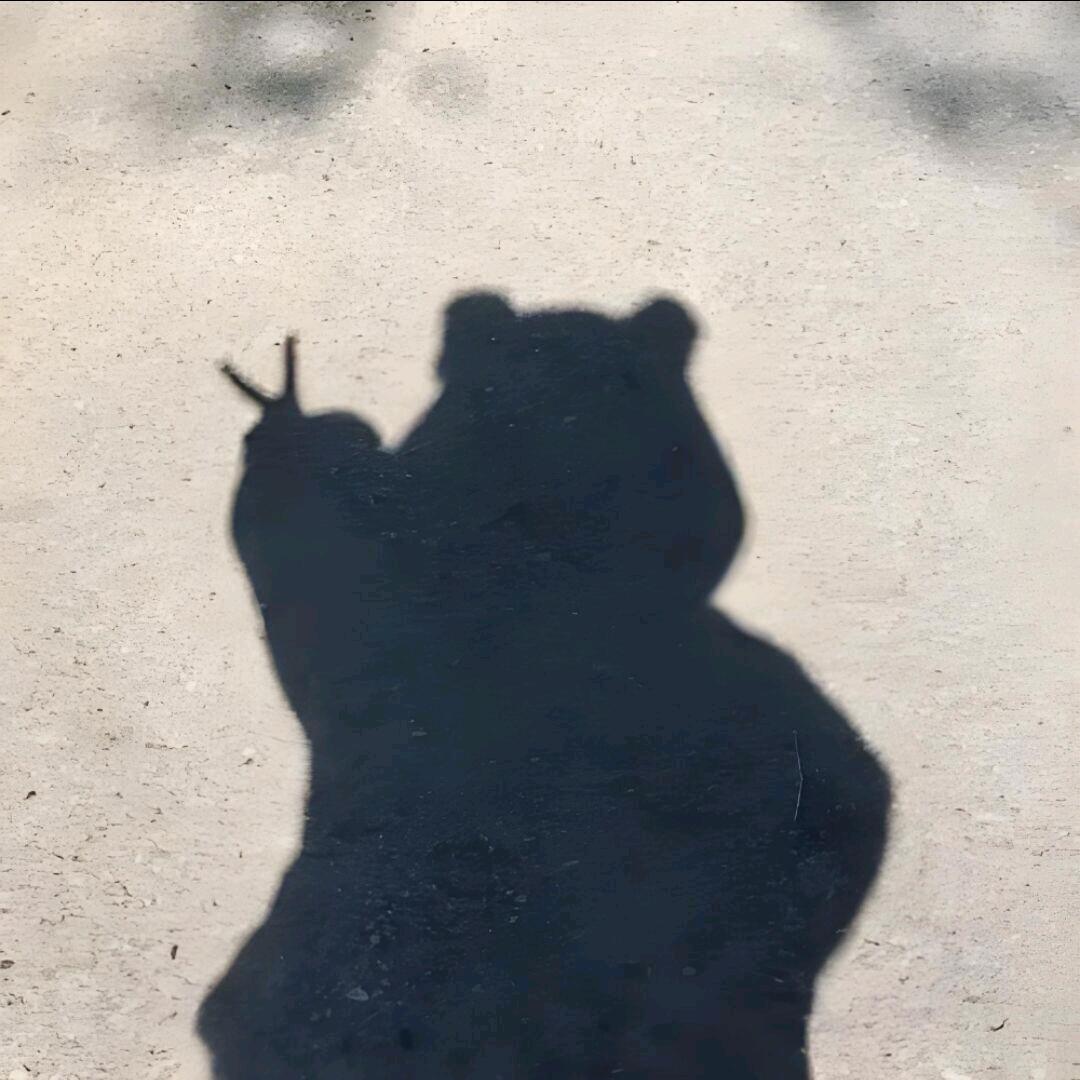 尘烟