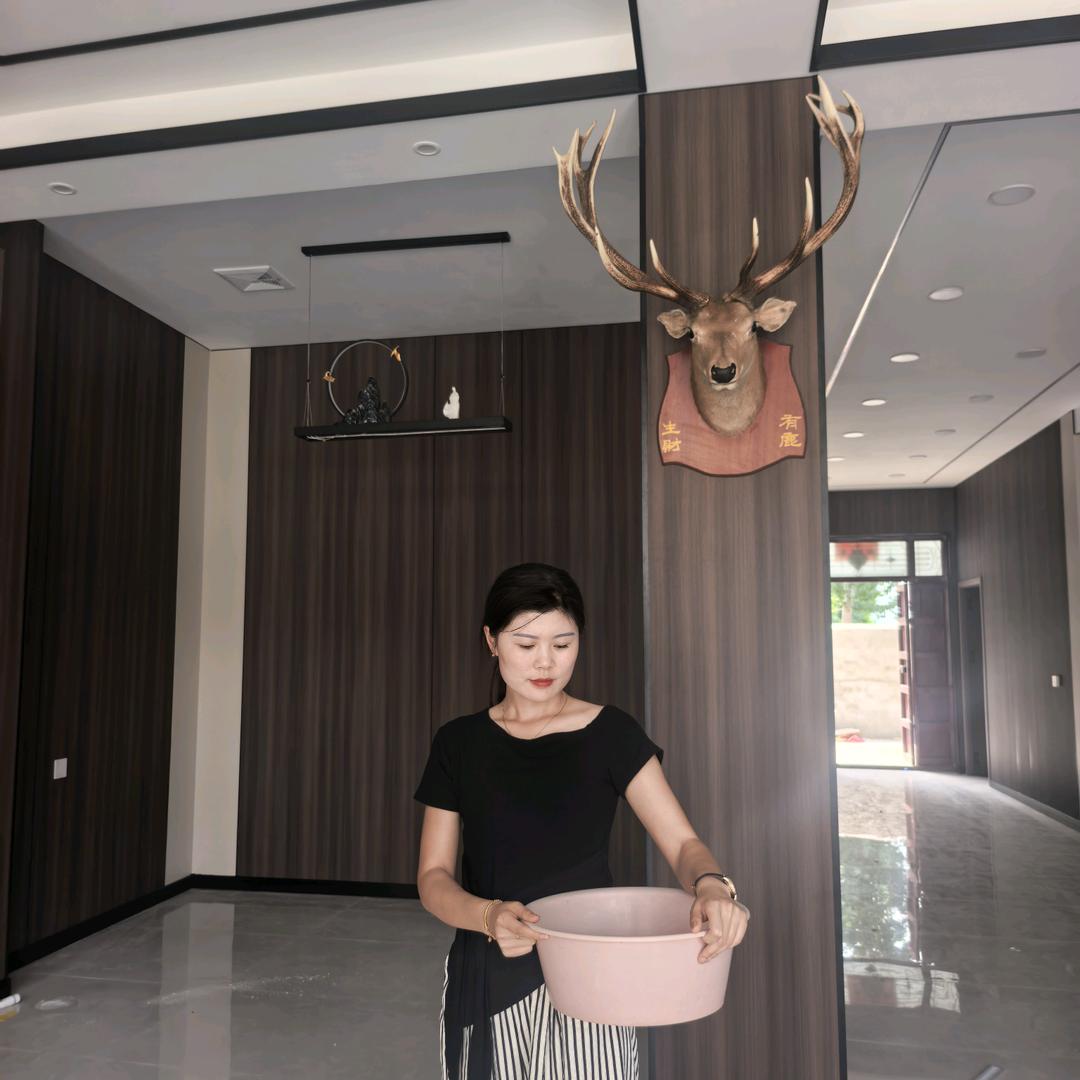 茂兴鹿场《倩倩》