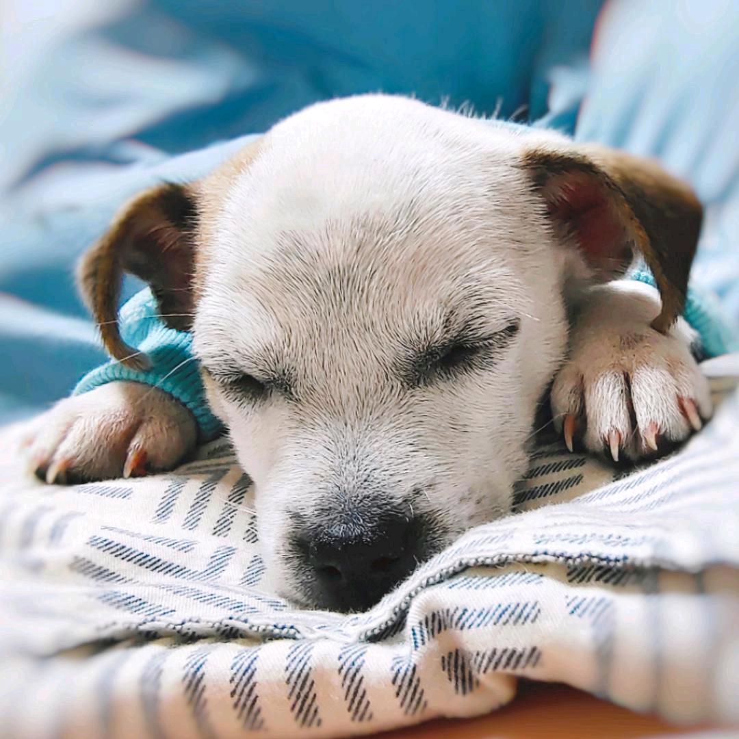 𝓥𝓮𝓼𝓲𝓱𝓮𝓻𝓷.