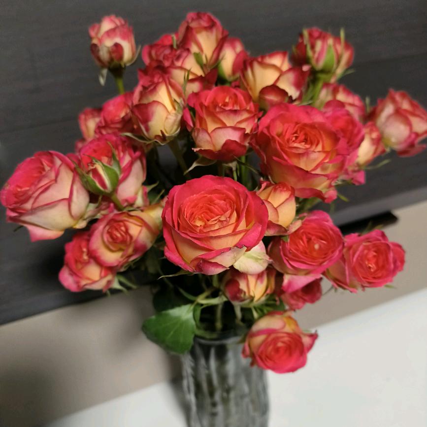 一切都刚刚好！