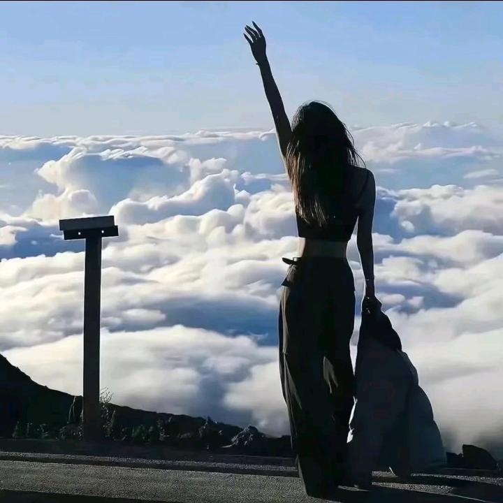 拾柒*