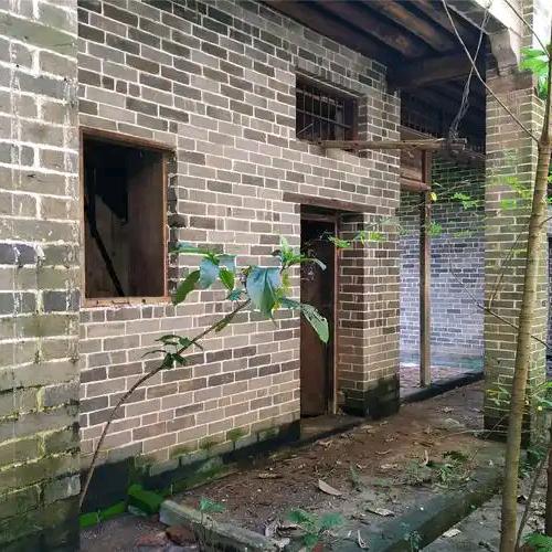 农村人《农村人》