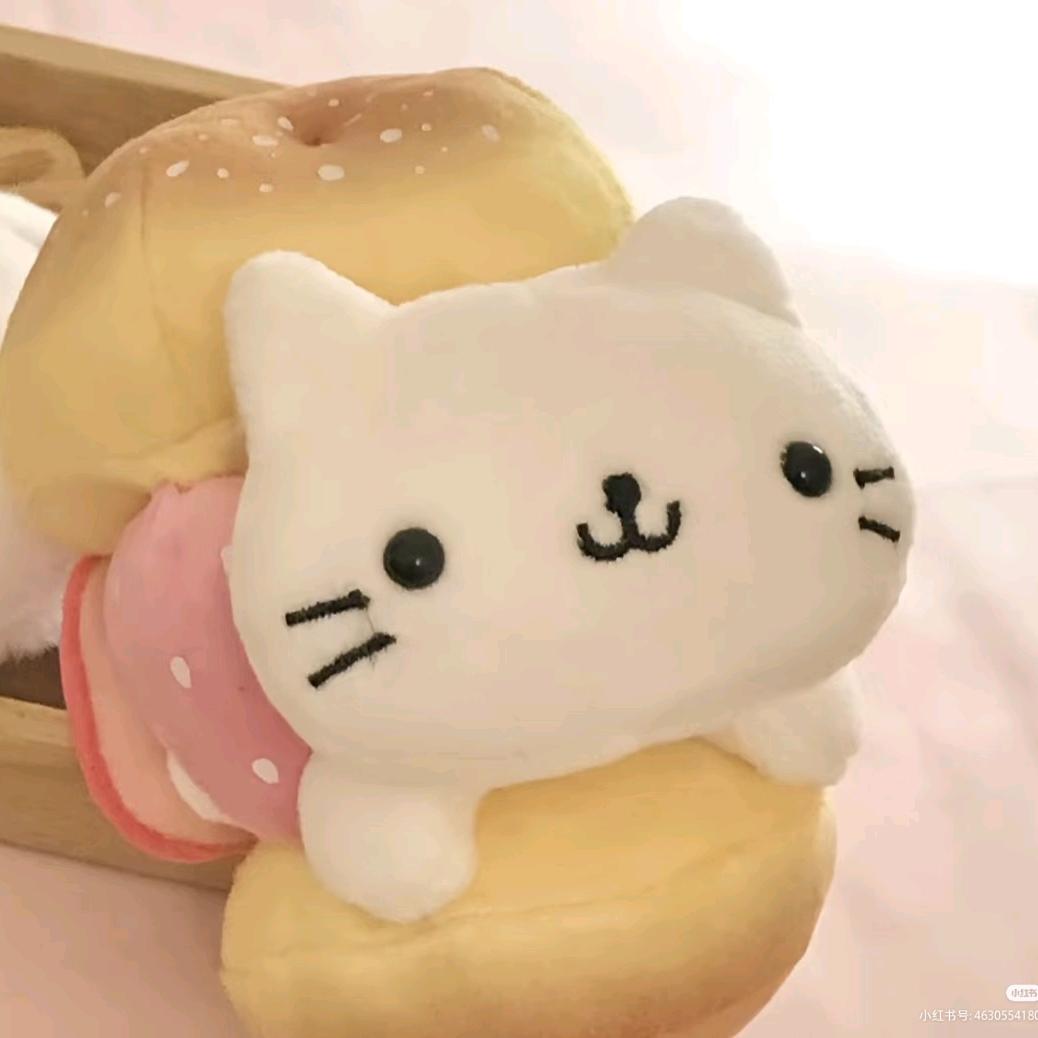 呼噜呼噜☆