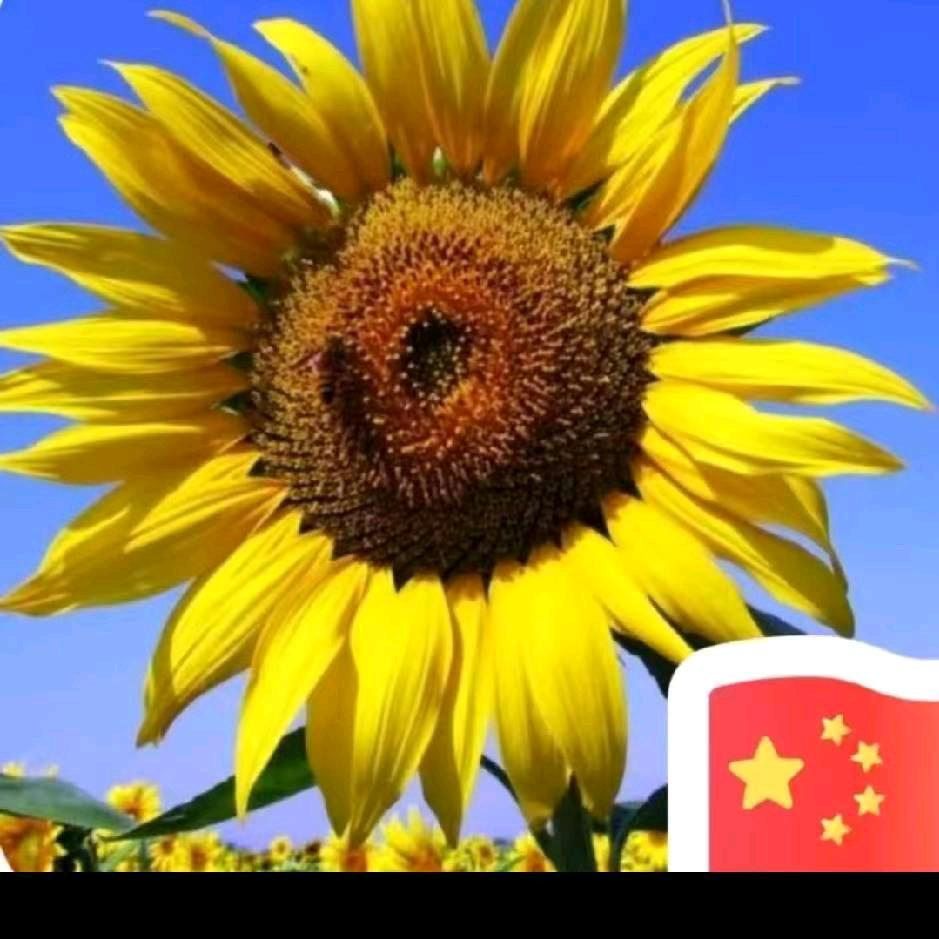 《人生如梦》