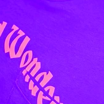 菠萝吃不完我切片带走