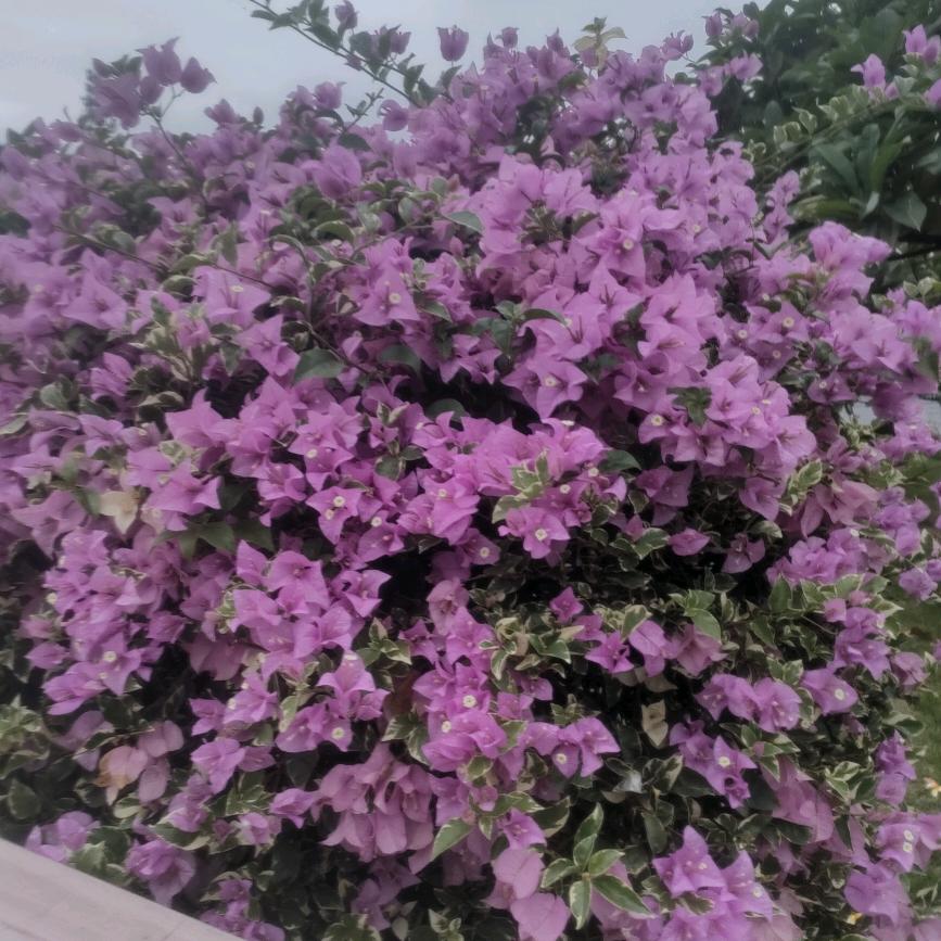 香客创意生活坊