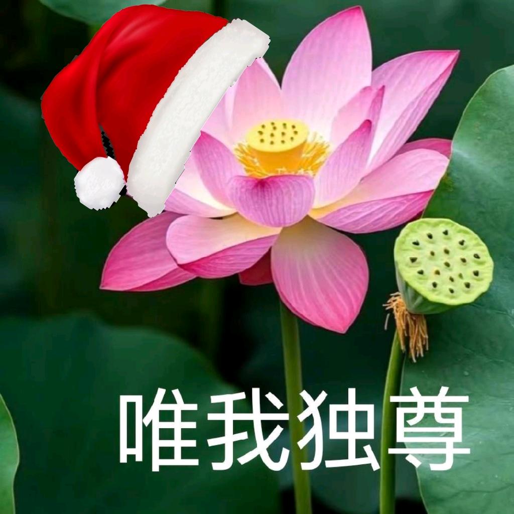 এ᭄唯我独尊ོྂཾ࿆࿐