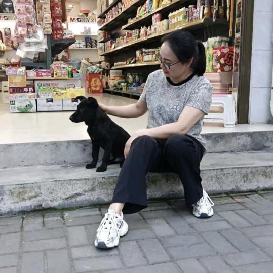 慧