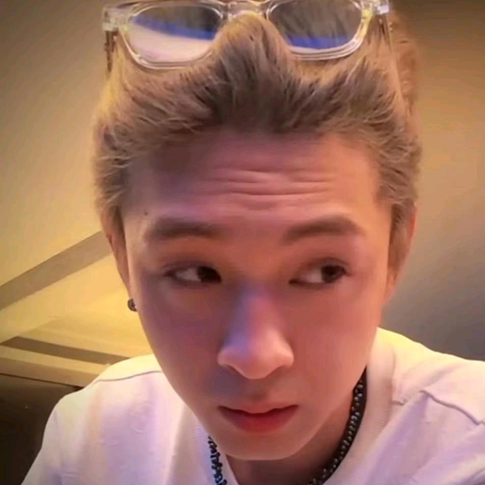 皮皮（和秦霄贤擦肩而过版本）