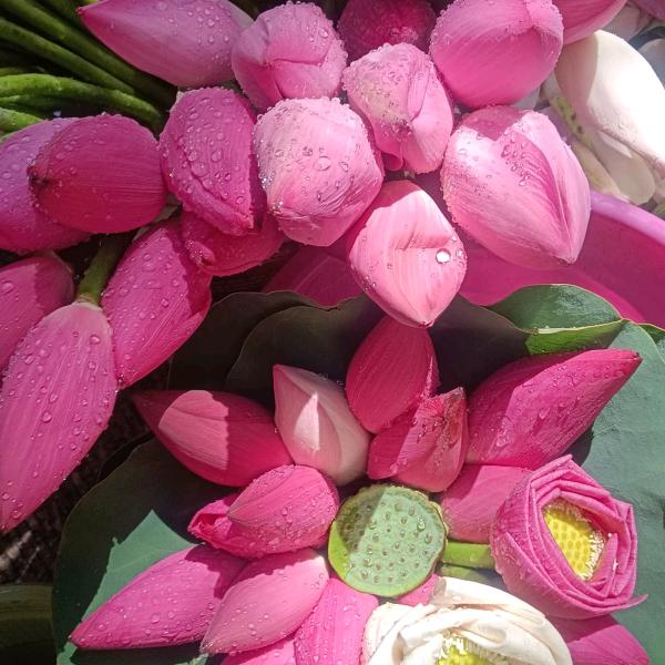 ＠开心呀🌻财多多💰@