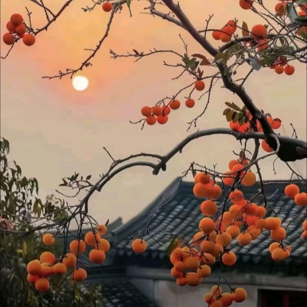集惠百货优选