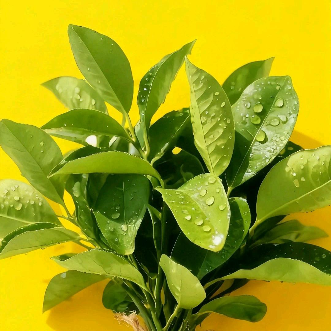 💕ꦿ҉好ᨶ႒ᩚ运ᥫᩣ໌້ᮨ加满✨