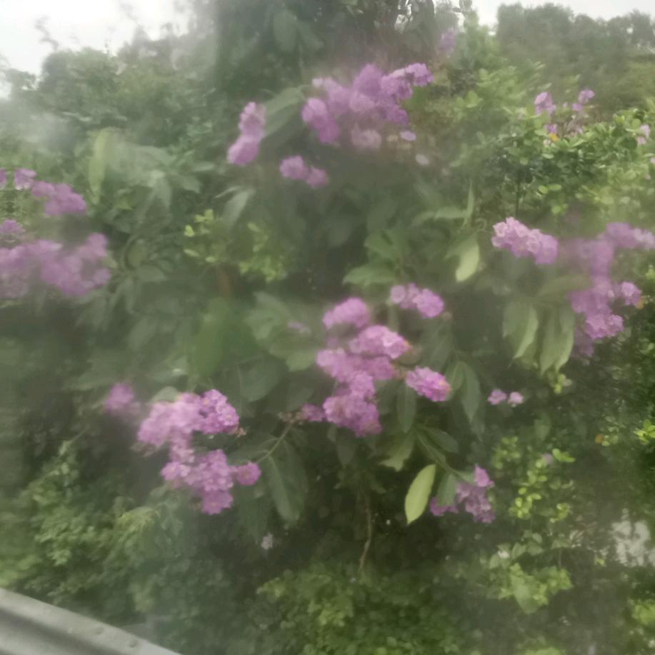 怀念