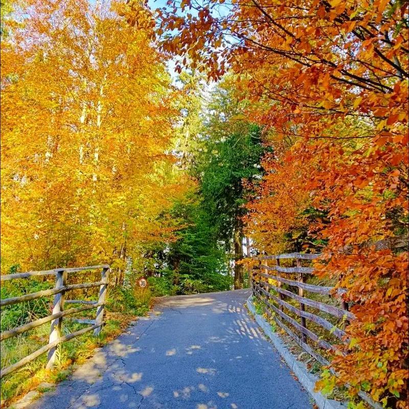 天空飘来五个字！