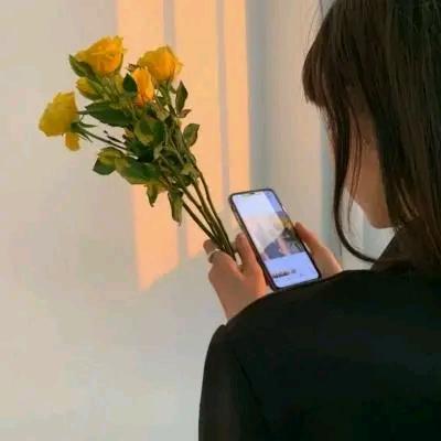 💞💍秦秦