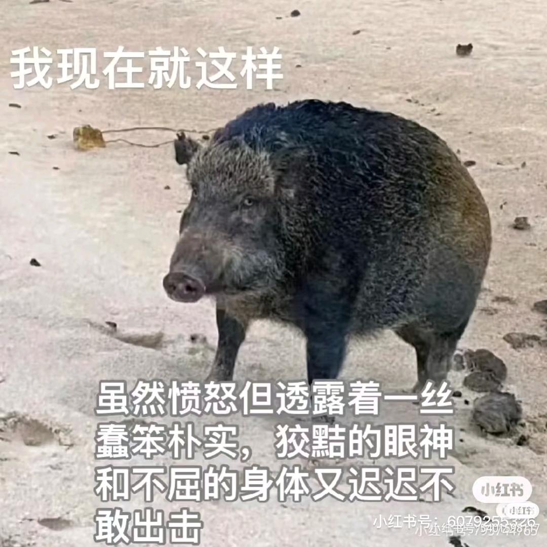 和外星人应该是朋友