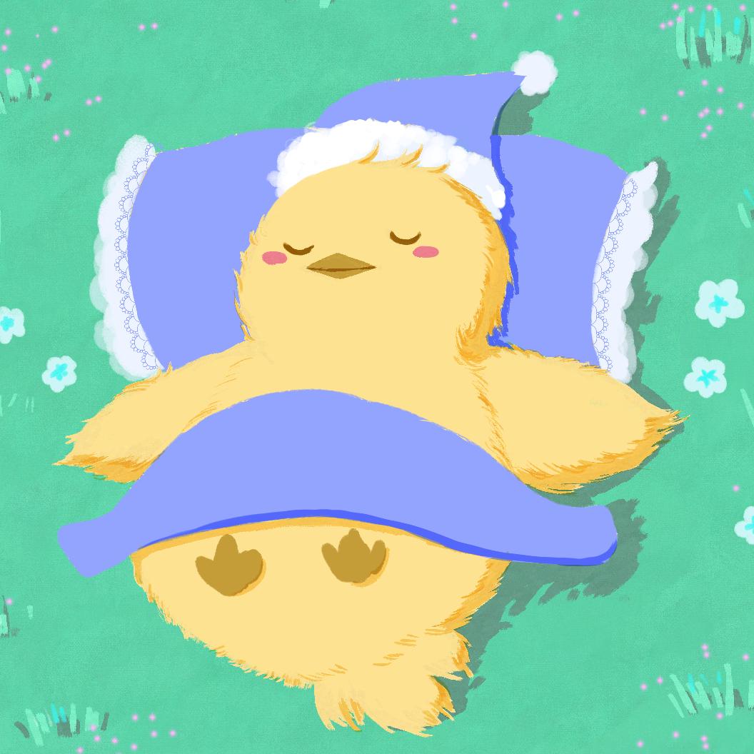鸡崽