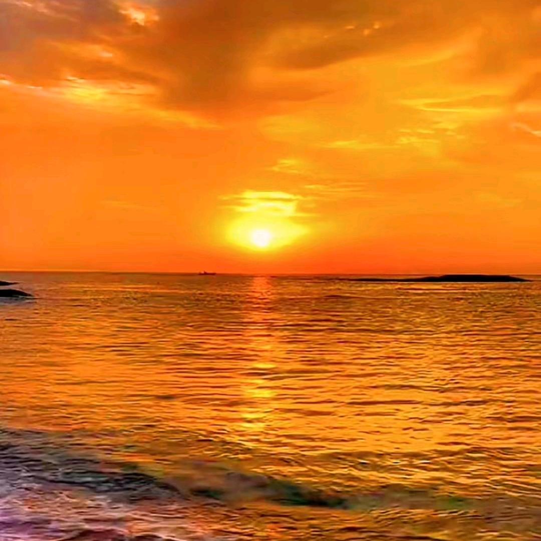 云鹤的农村生活