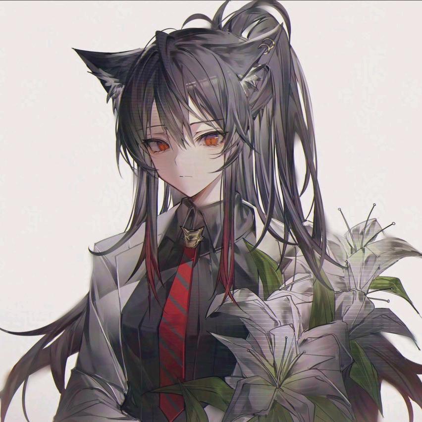 猫柳KEE
