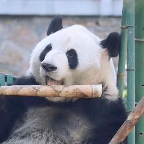 祇兰之（考研版）