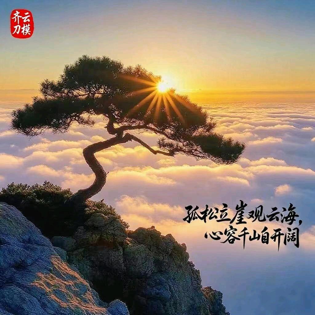 木木