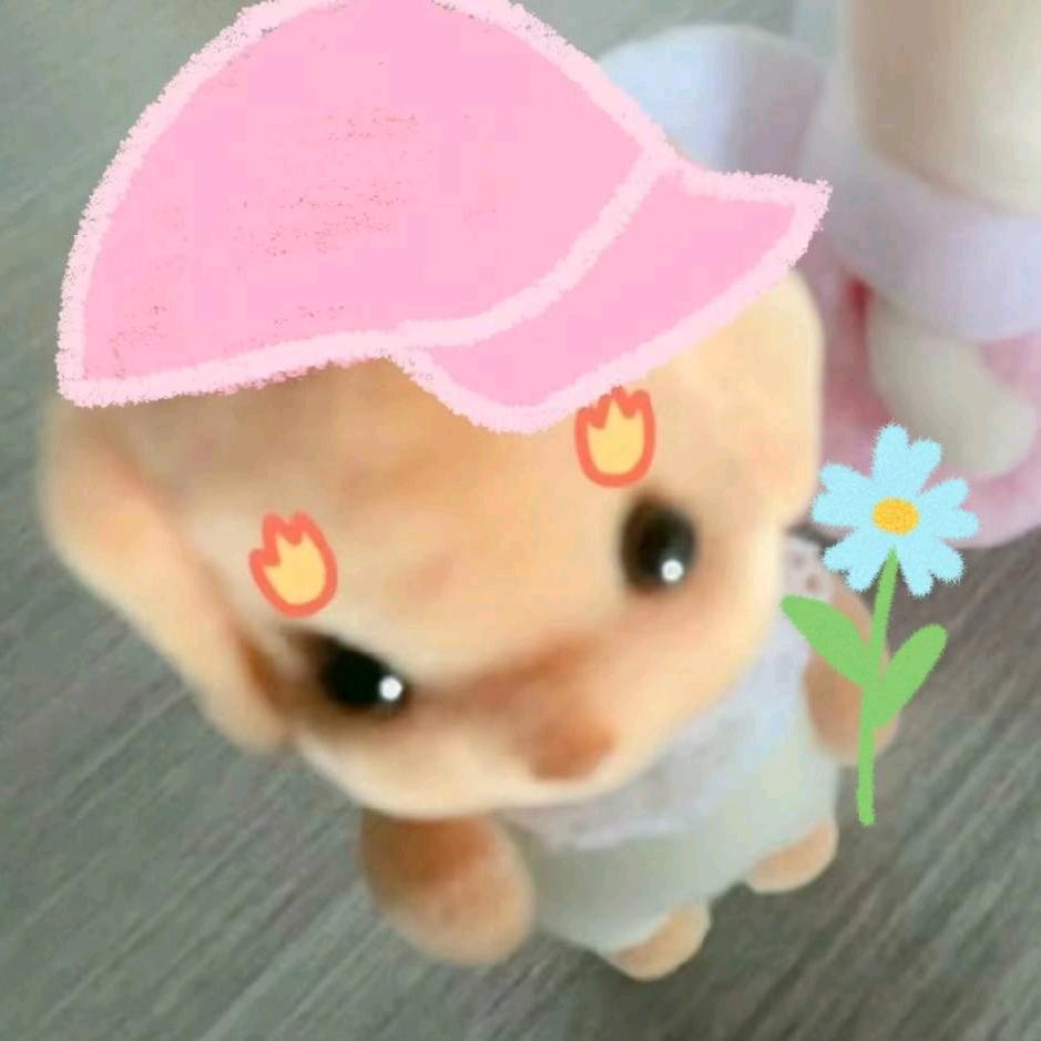 万锦城李宁晶晶