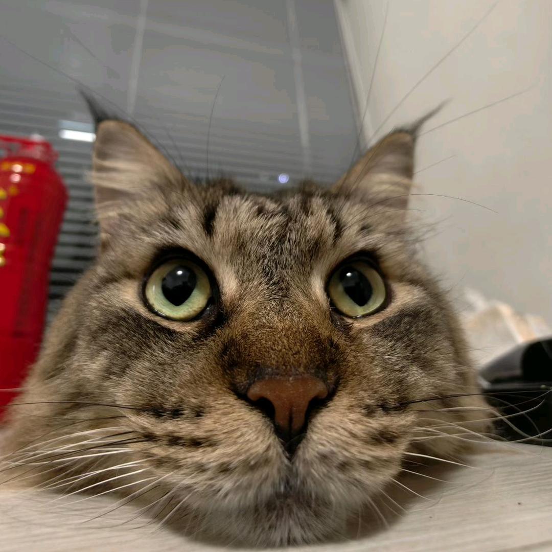 AAA.东莞空气批发何厂