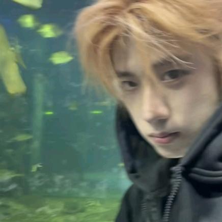 V9自会挣脱束缚.🌊