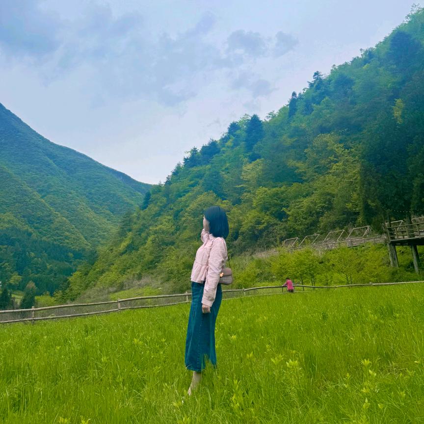 🍀☘️小茉莉♬ ✔