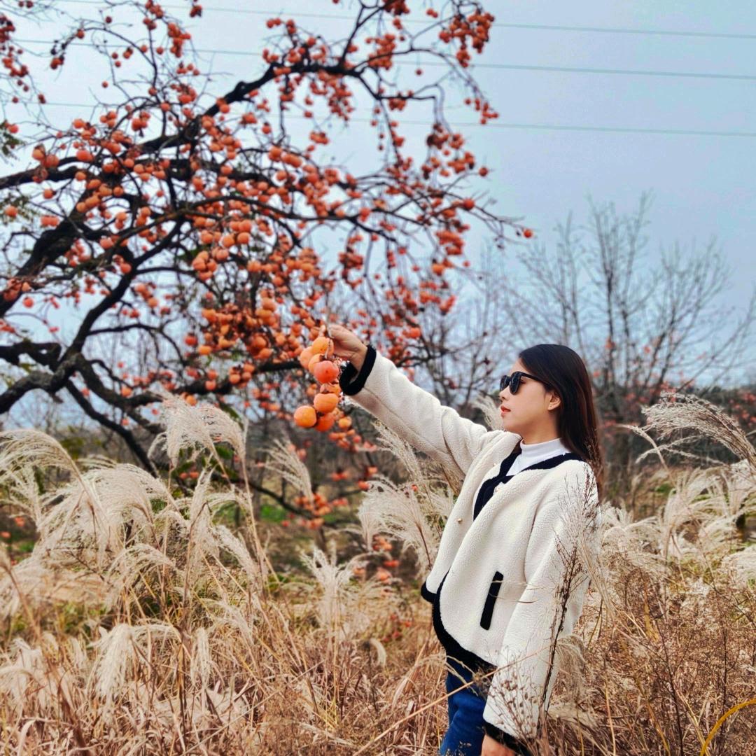 唯美的爱情世间罕有