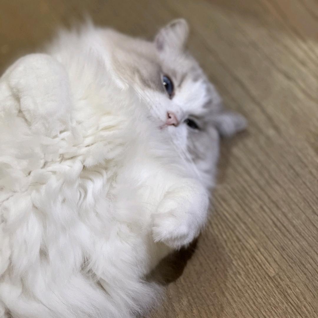手机打工人小钱