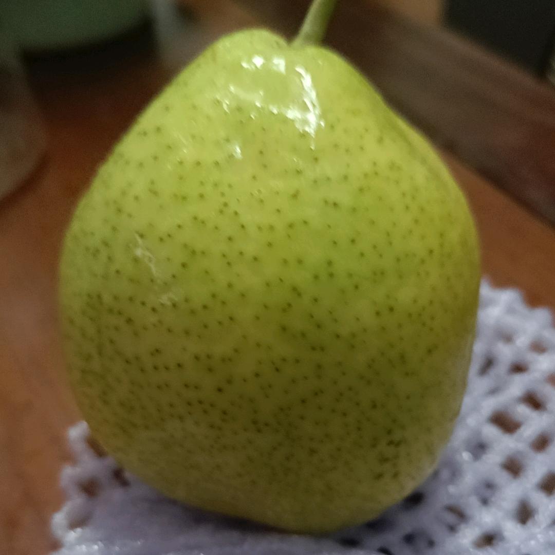 甘农商贸