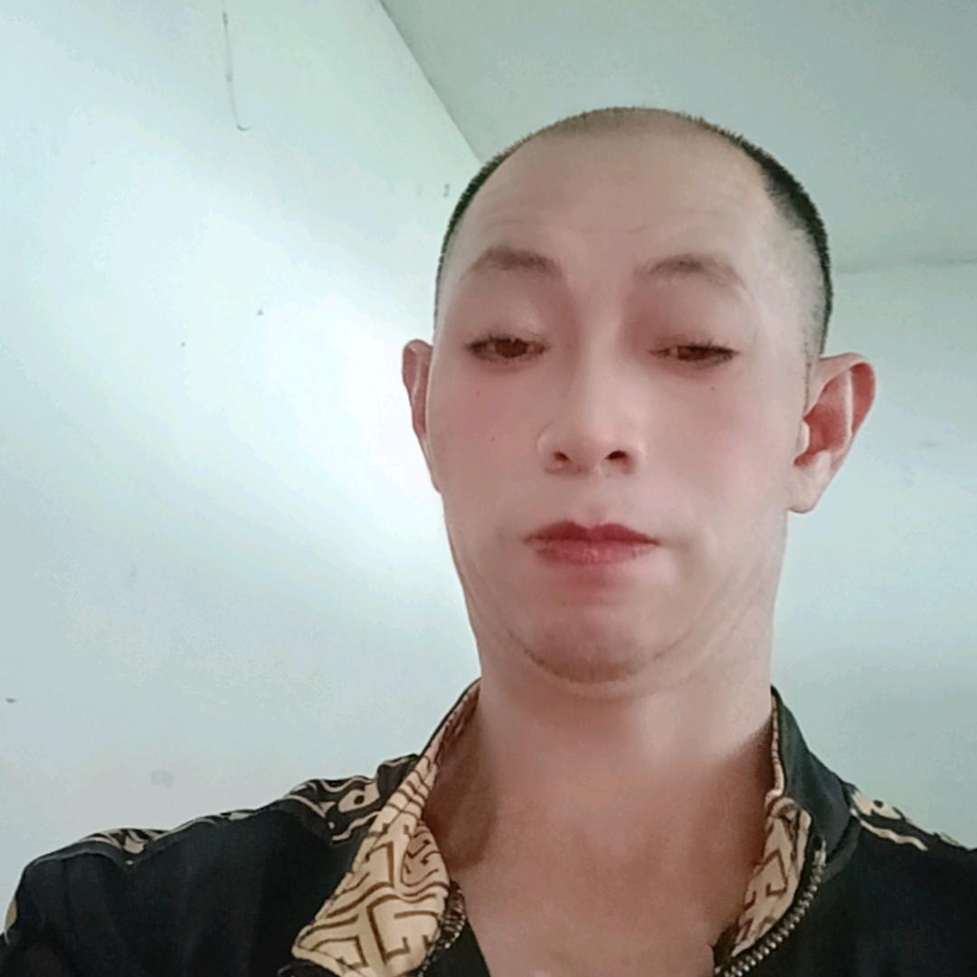龙宇飞虎天下
