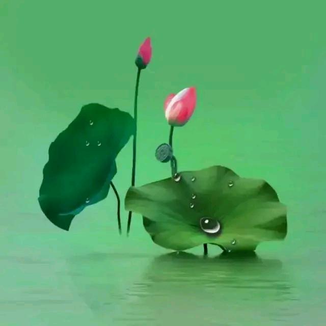 ♥㣻罖♥(｡￫v￩｡)♥