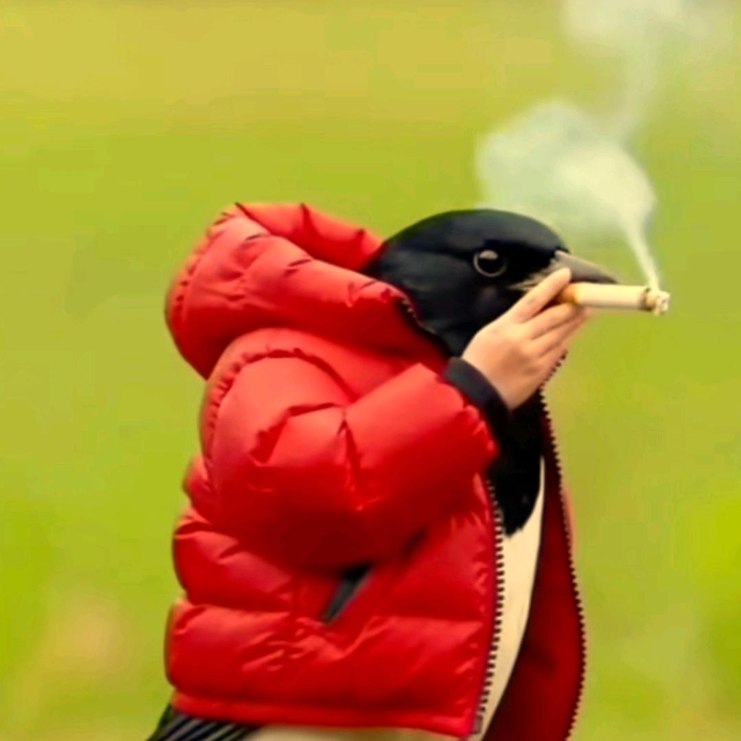 穿件黑LV只为致敬大嫂