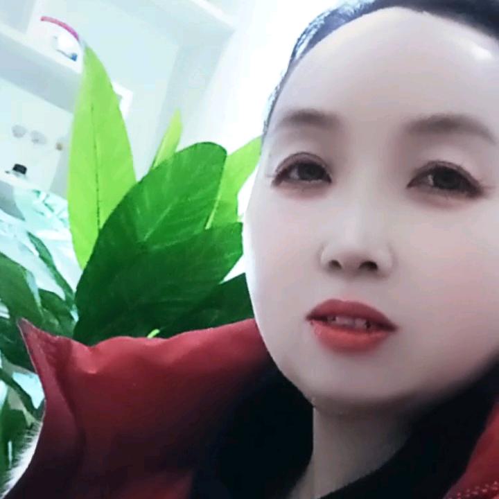 健健康康张云