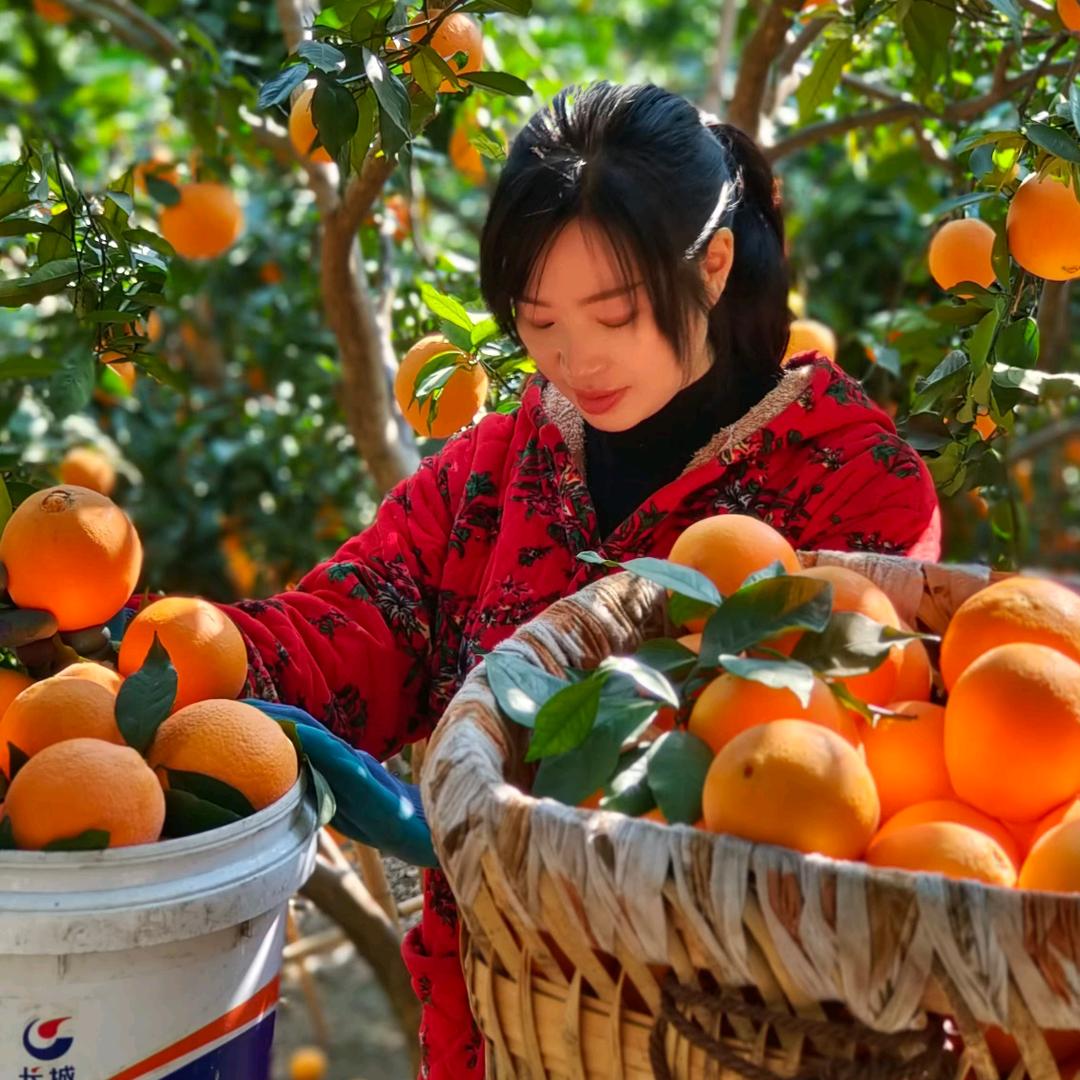 雷波志花水果种植园
