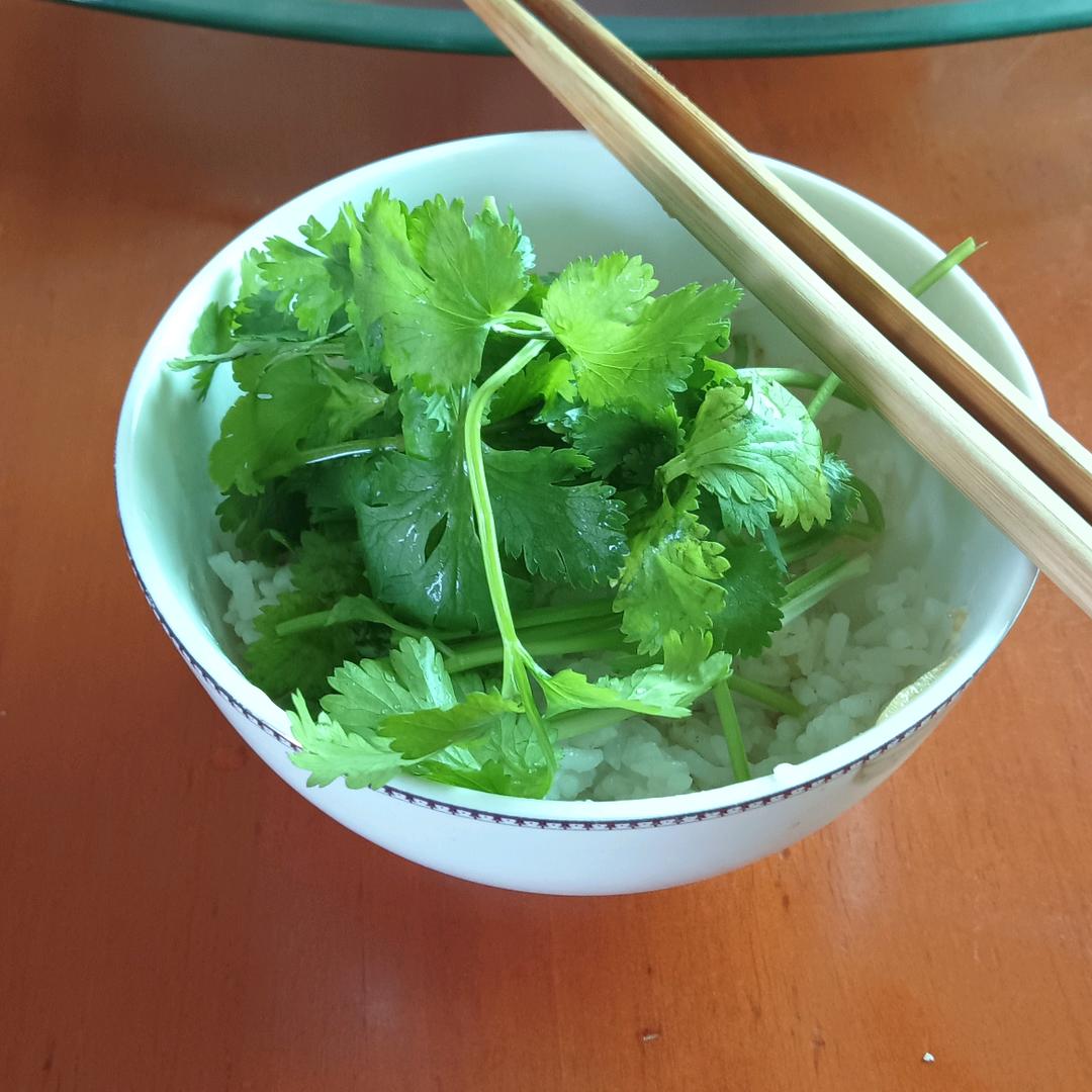忆相逢