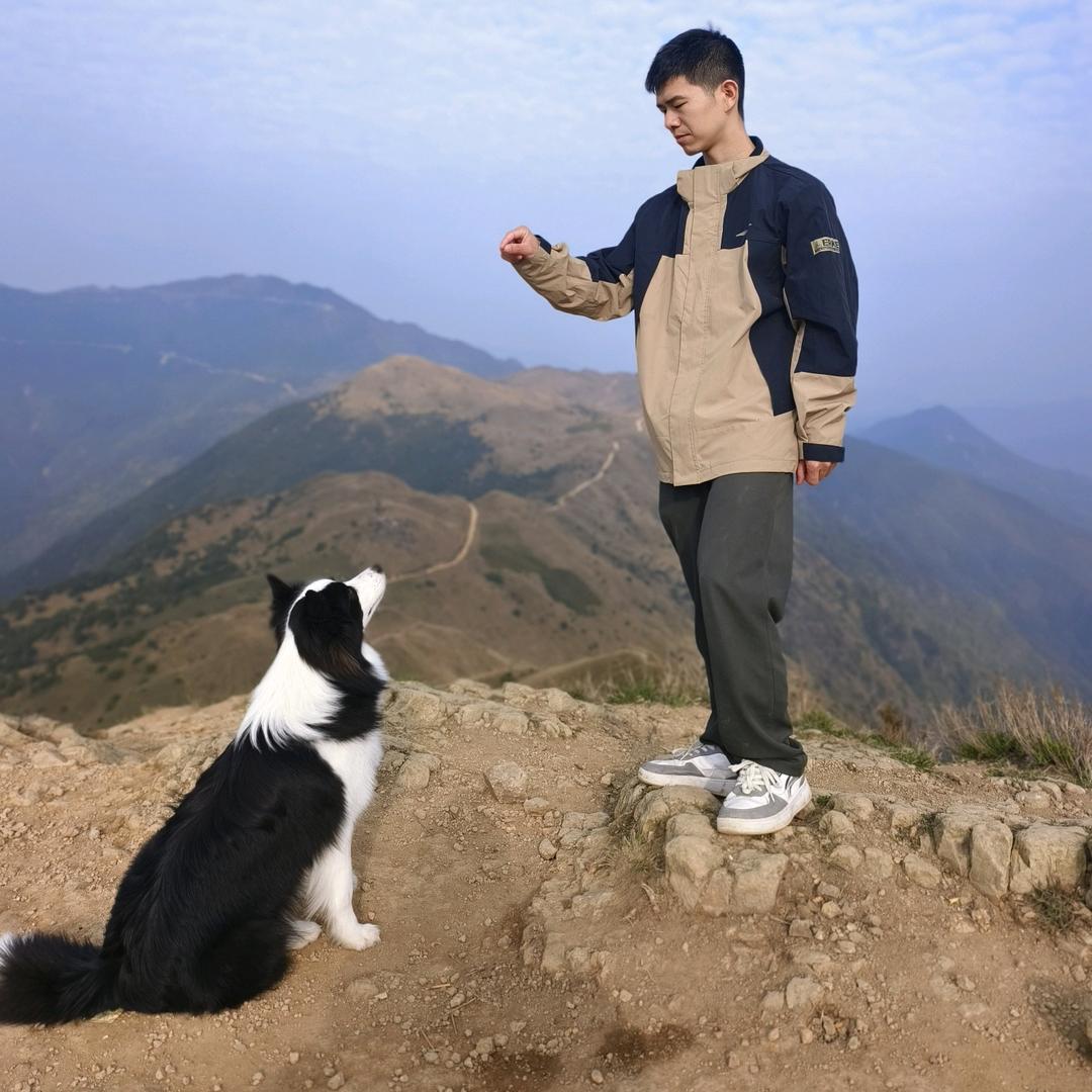 真真假假又十年