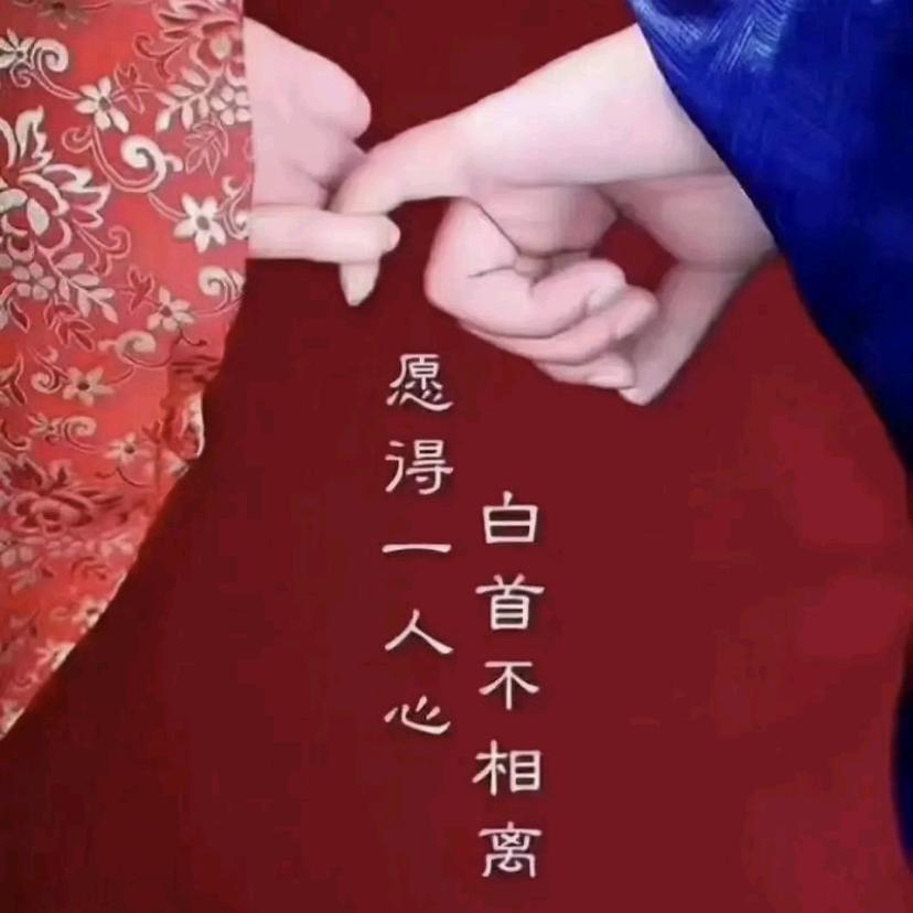愿得一人心