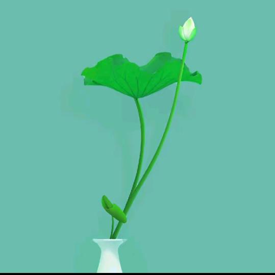 中国🇨🇳中山