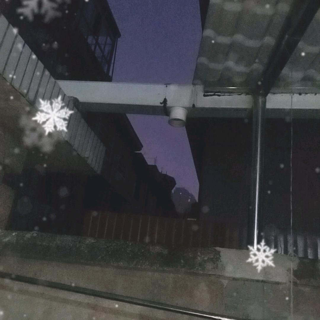 王雪松